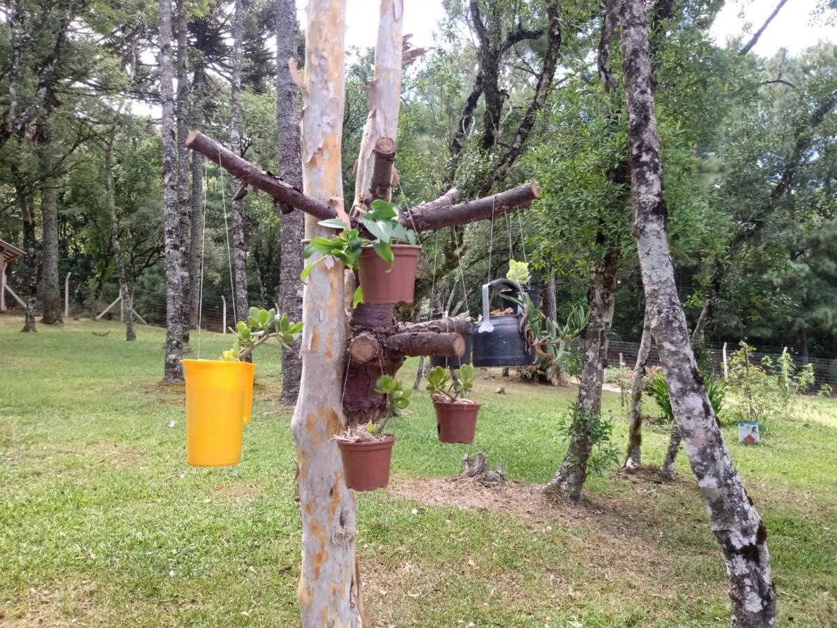 Cabana Romance - Recanto Da Natureza Канела Екстериор снимка
